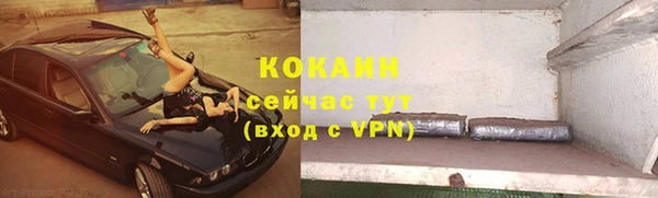ешки Новодвинск