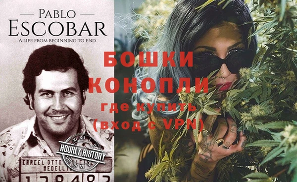 Альфа ПВП Новозыбков